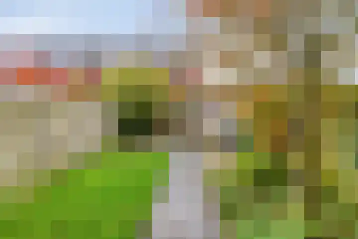 Canadasingel 36 Zutphen thumbnail 19