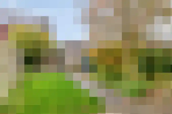 Canadasingel 36 Zutphen thumbnail 20