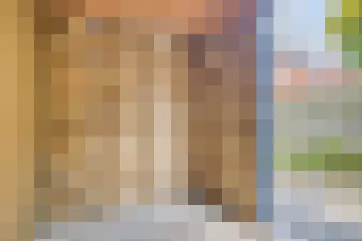 Canadasingel 36 Zutphen thumbnail 21