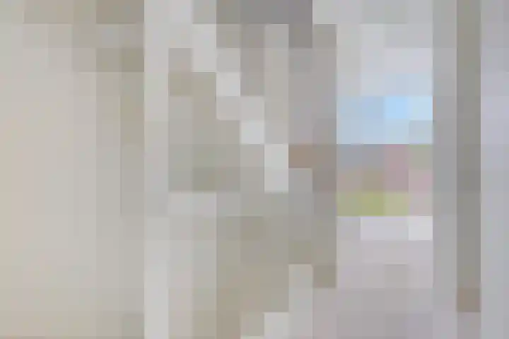 Canadasingel 36 Zutphen thumbnail 22