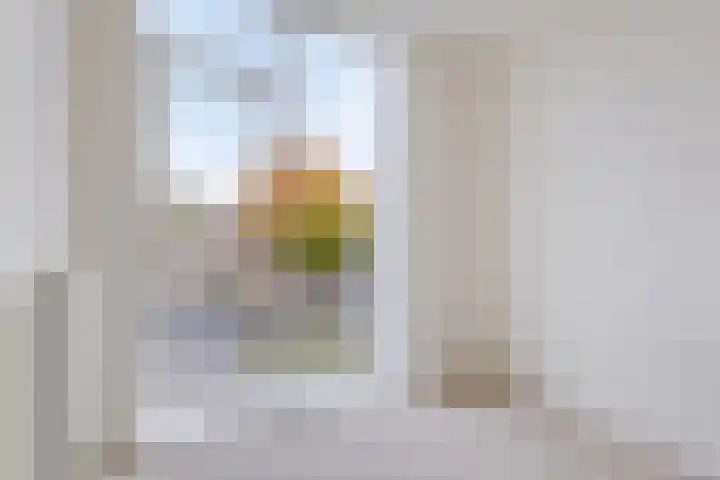 Canadasingel 36 Zutphen thumbnail 23