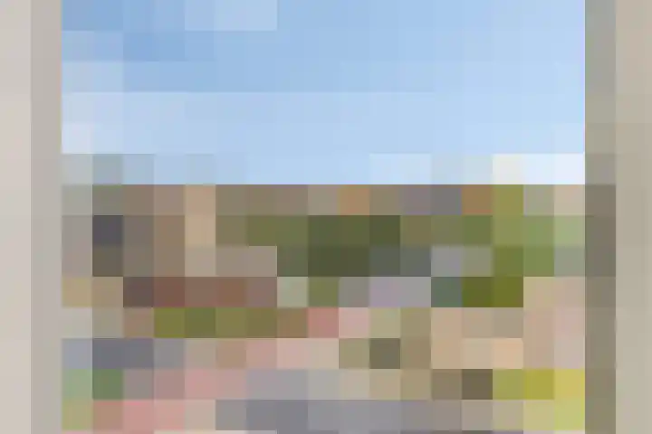 Canadasingel 36 Zutphen thumbnail 25