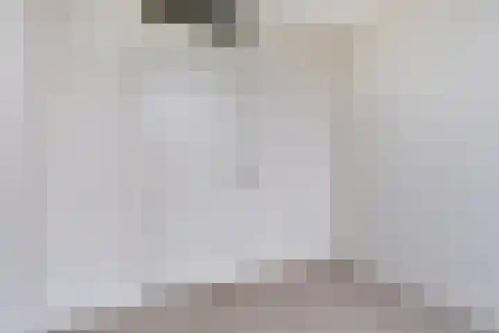 Canadasingel 36 Zutphen thumbnail 26