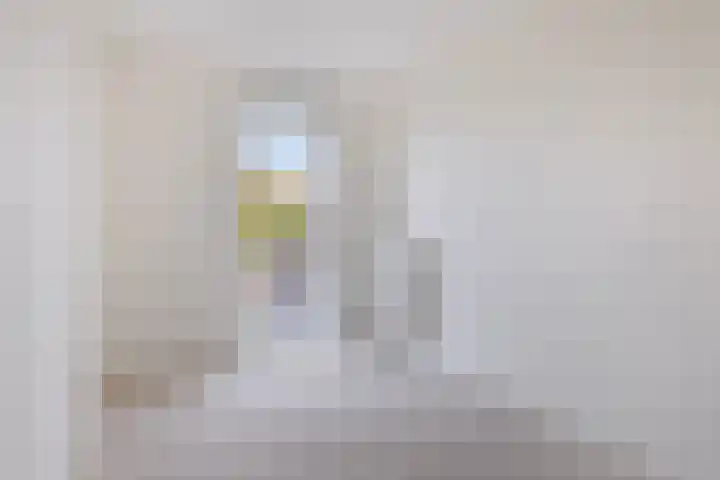 Canadasingel 36 Zutphen thumbnail 27