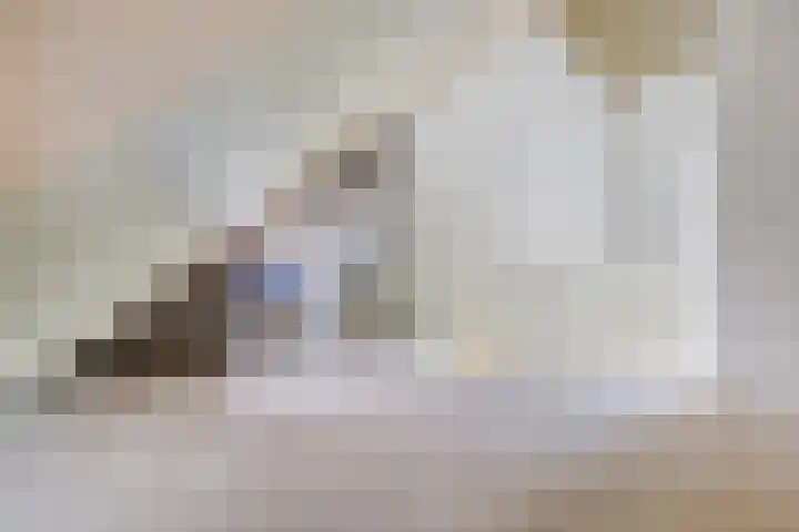 Canadasingel 36 Zutphen thumbnail 40