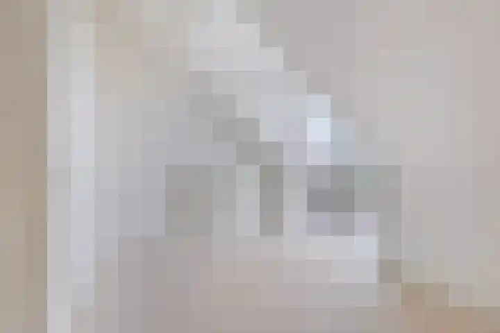 Canadasingel 36 Zutphen thumbnail 43