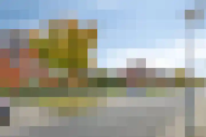 Canadasingel 36 Zutphen thumbnail 45