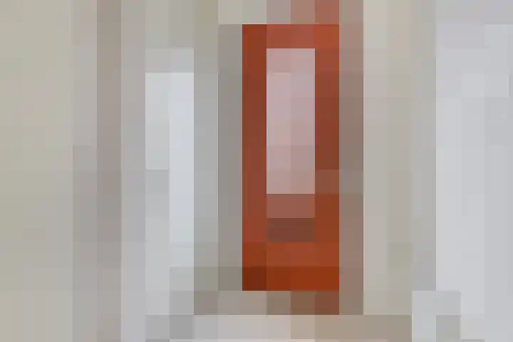 Canadasingel 36 Zutphen thumbnail 8