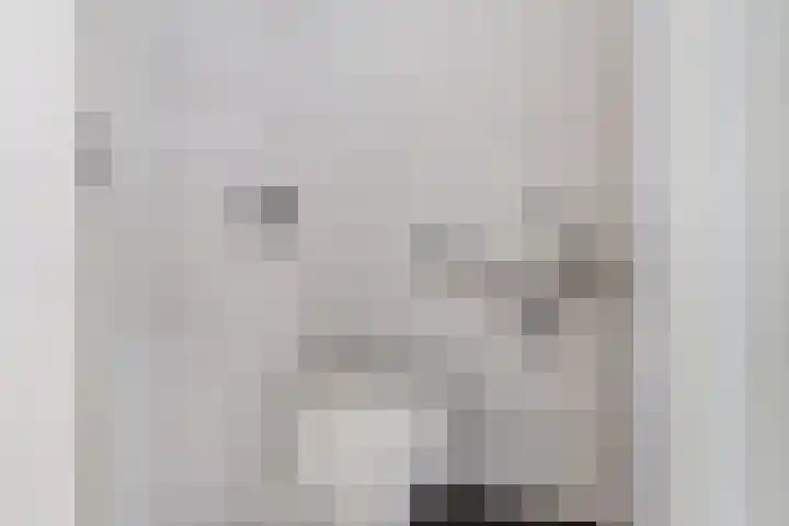 Canadasingel 36 Zutphen thumbnail 9