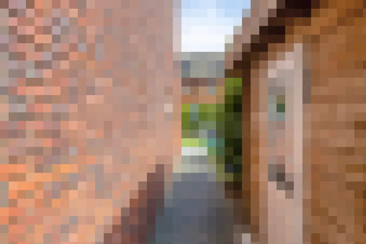 Canadasingel 46 Zutphen thumbnail 32