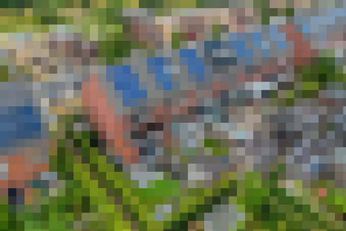Canadasingel 46 Zutphen thumbnail 39