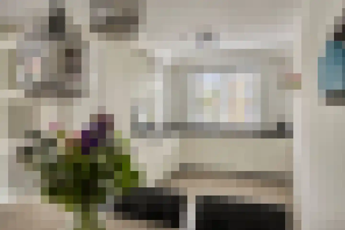 Canadasingel 46 Zutphen thumbnail 4