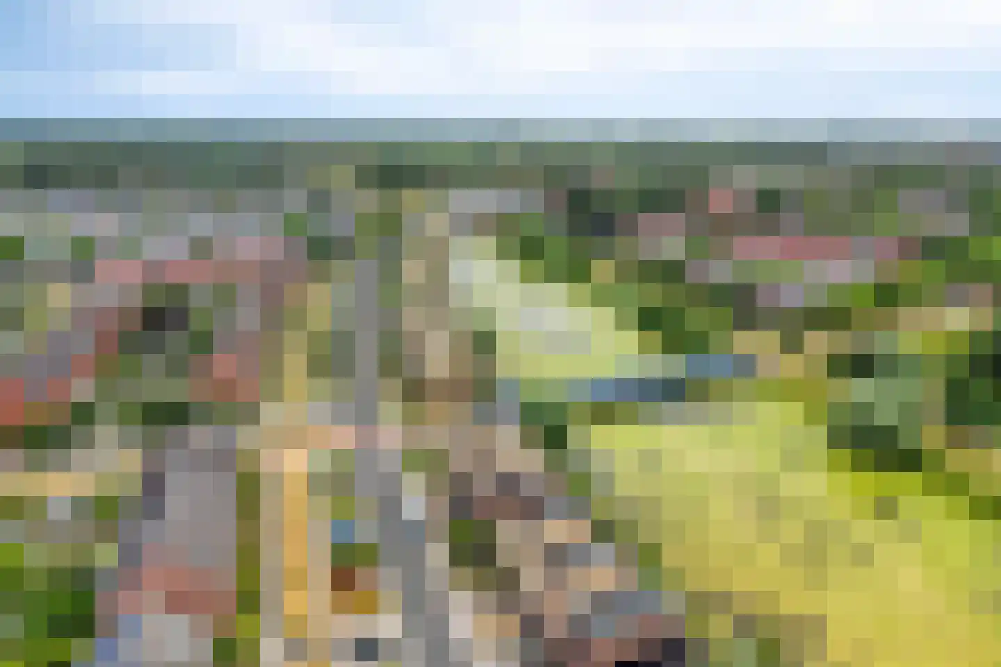 Canadasingel 46 Zutphen thumbnail 41