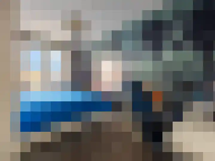 Canadasingel 68 Zutphen thumbnail 14