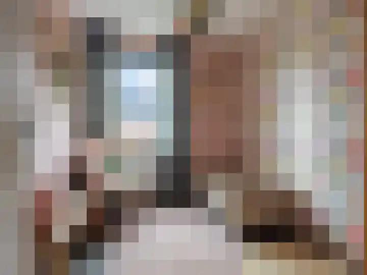 Canadasingel 68 Zutphen thumbnail 15