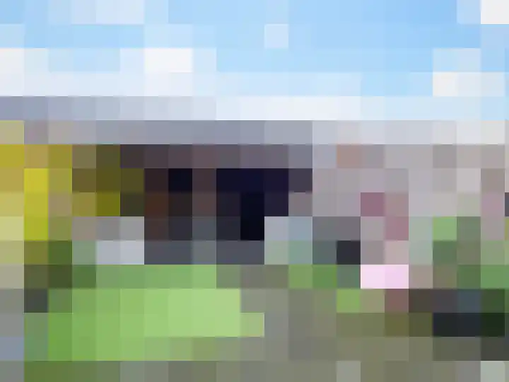 Canadasingel 68 Zutphen thumbnail 18