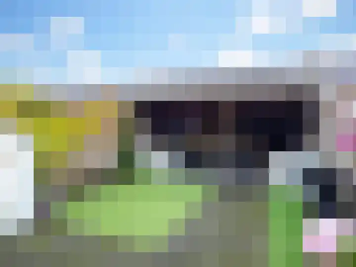 Canadasingel 68 Zutphen thumbnail 19