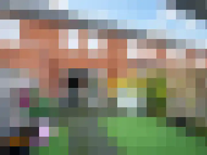 Canadasingel 68 Zutphen thumbnail 22