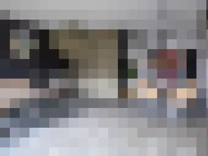 Canadasingel 68 Zutphen thumbnail 4