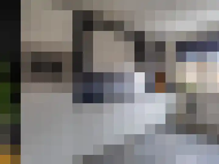 Canadasingel 68 Zutphen thumbnail 6