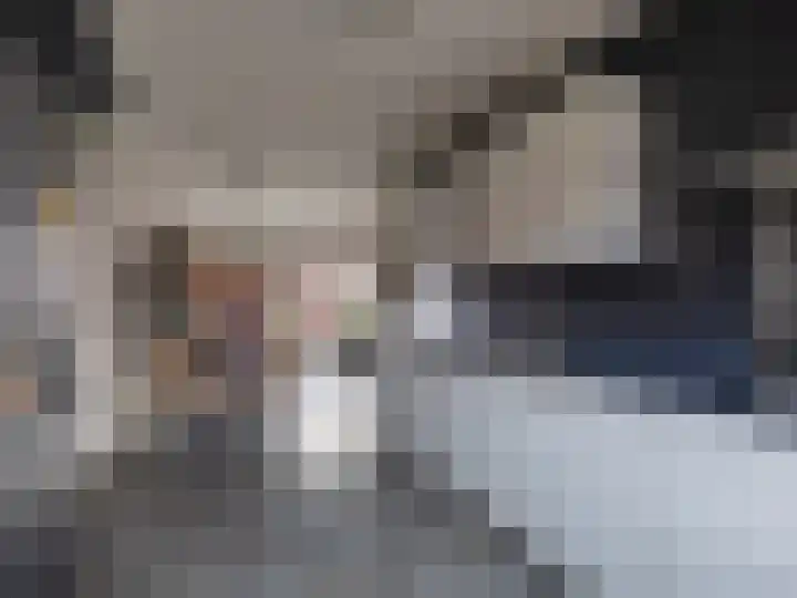 Canadasingel 68 Zutphen thumbnail 7