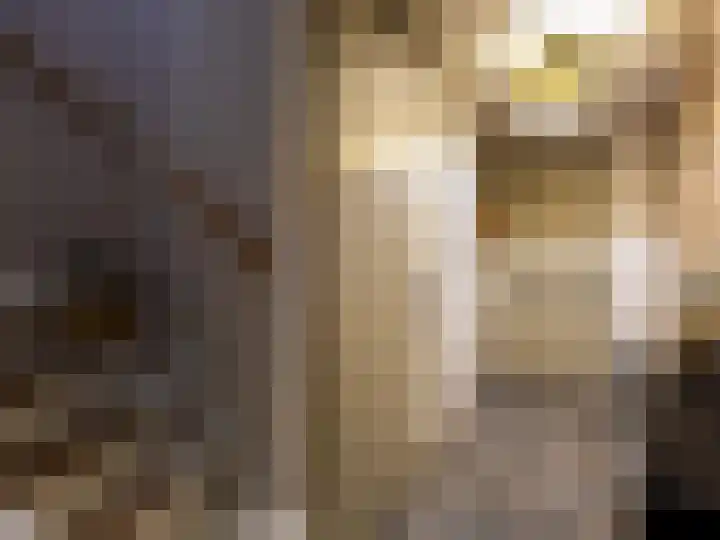 Canadasingel 68 Zutphen thumbnail 8