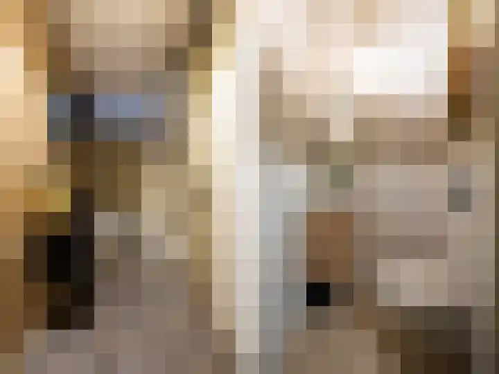 Canadasingel 68 Zutphen thumbnail 9