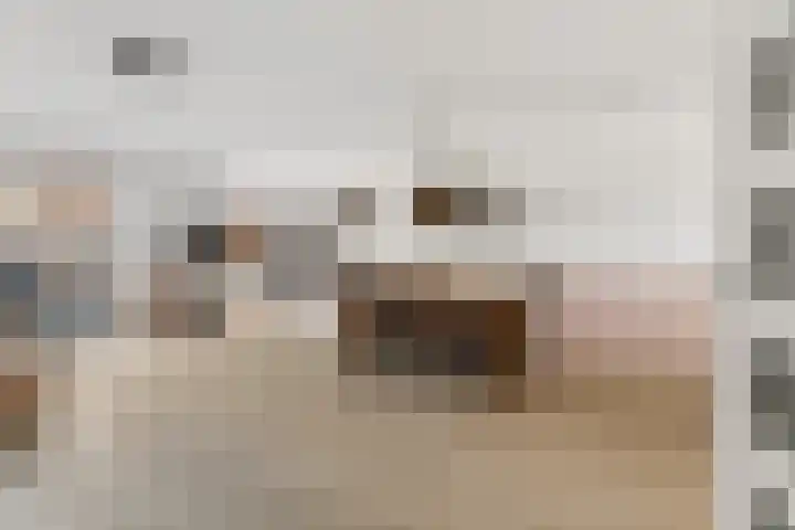 Canadasingel 80 Zutphen thumbnail 12