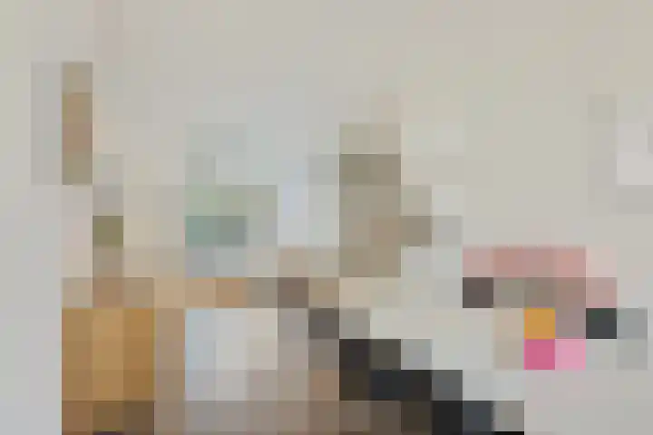 Canadasingel 80 Zutphen thumbnail 13