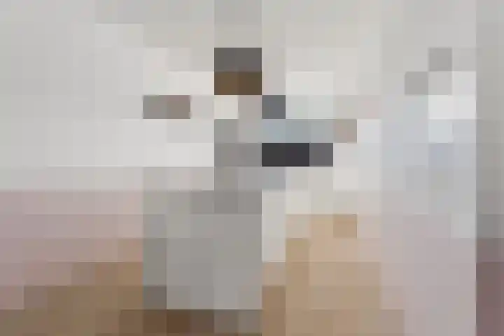 Canadasingel 80 Zutphen thumbnail 13