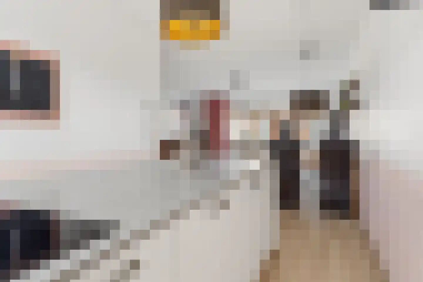 Canadasingel 80 Zutphen thumbnail 15