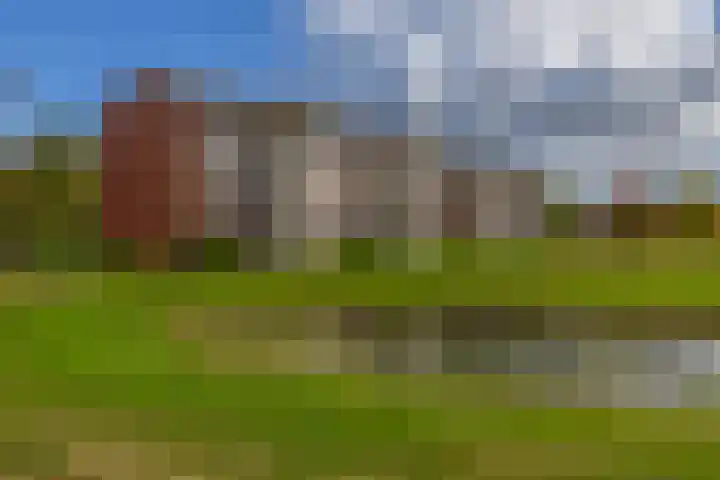 Canadasingel 80 Zutphen thumbnail 16