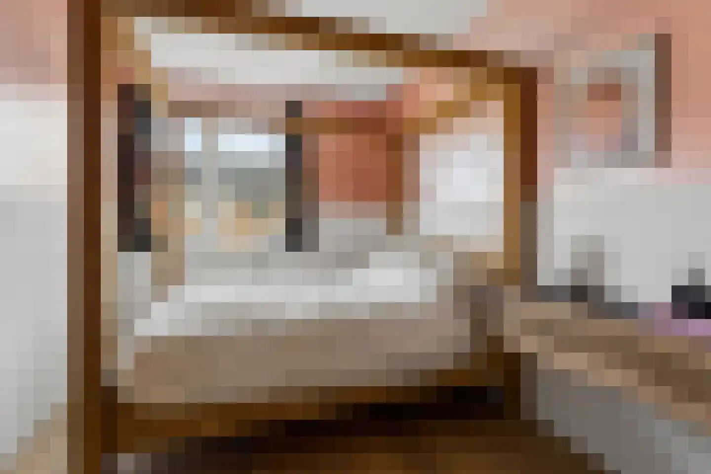 Canadasingel 80 Zutphen thumbnail 19
