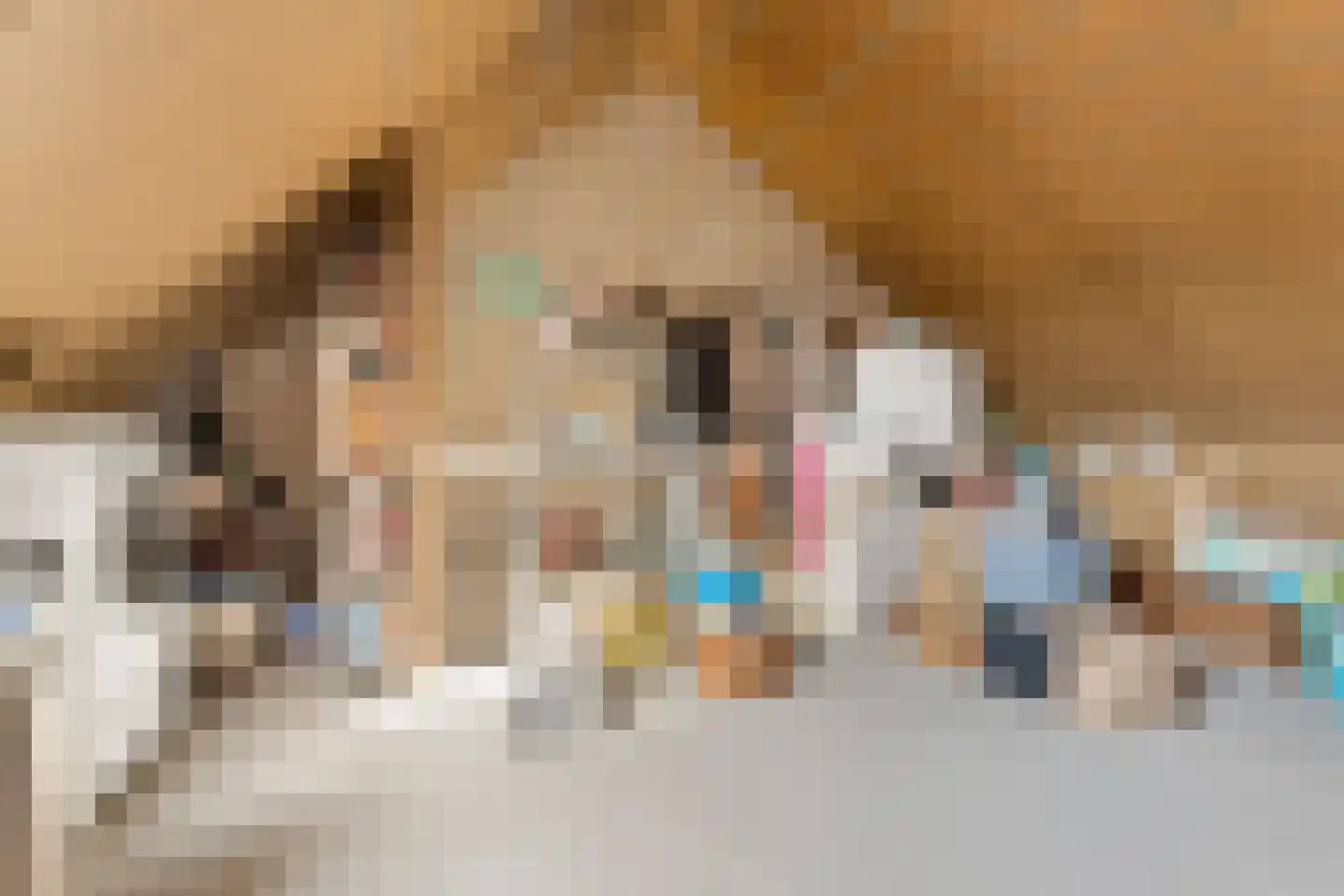 Canadasingel 80 Zutphen thumbnail 30