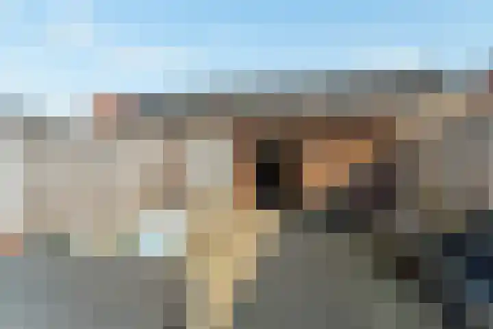 Canadasingel 80 Zutphen thumbnail 33
