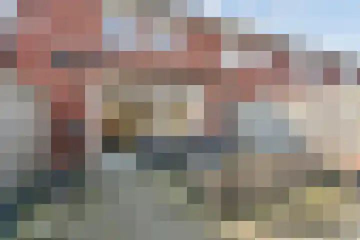 Canadasingel 80 Zutphen thumbnail 36