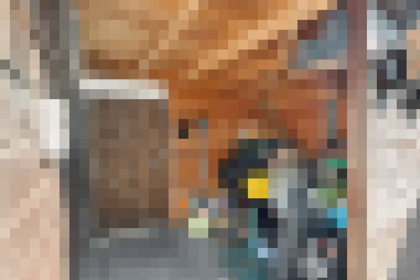 Canadasingel 80 Zutphen thumbnail 37