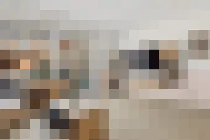 Canadasingel 80 Zutphen thumbnail 8