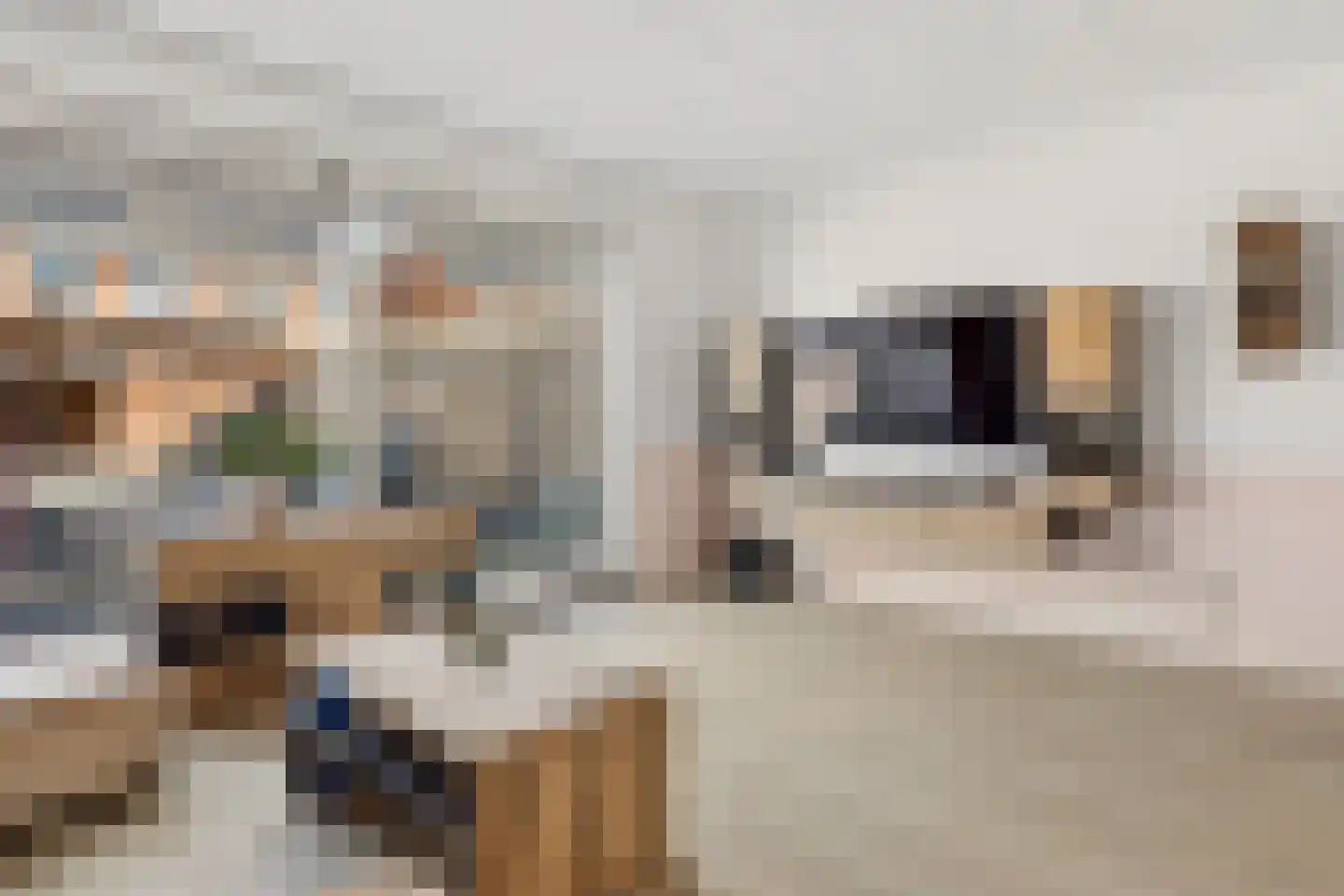 Canadasingel 80 Zutphen thumbnail 8