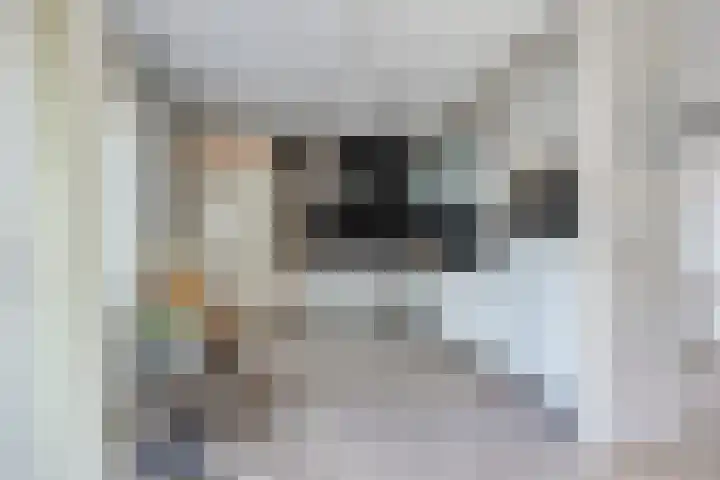 Canadastraat 1 Emmen thumbnail 11