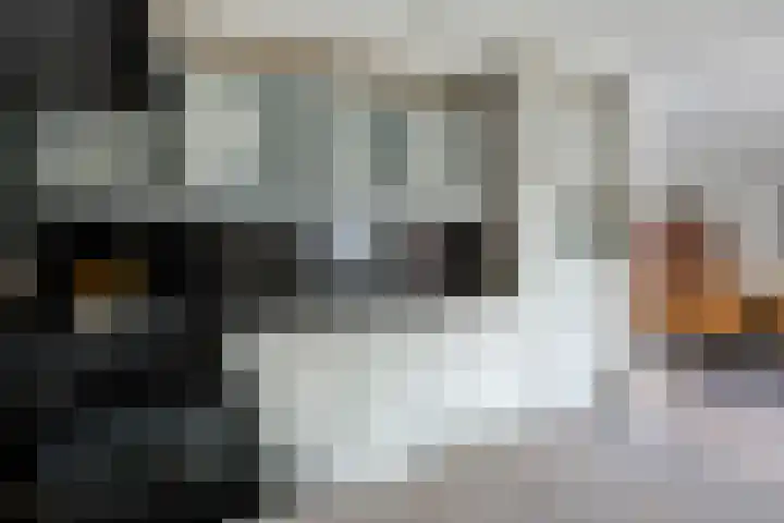 Canadastraat 1 Emmen thumbnail 12