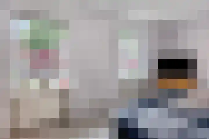Canadastraat 1 Emmen thumbnail 17