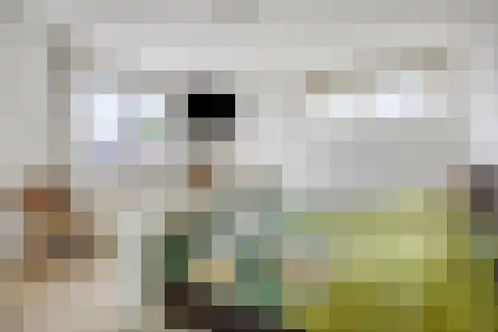 Canadastraat 1 Emmen thumbnail 24