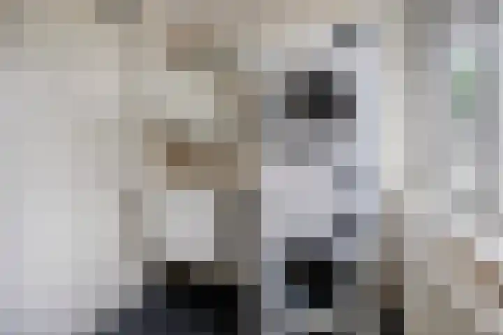Canadastraat 1 Emmen thumbnail 29