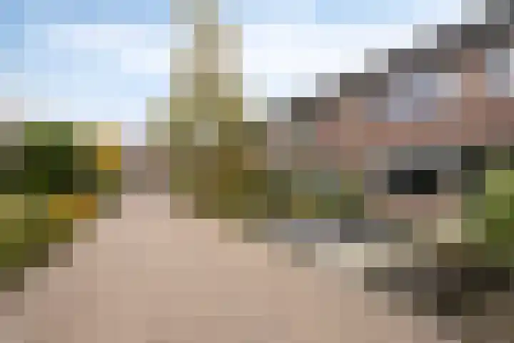 Canadastraat 39 Holten thumbnail 38