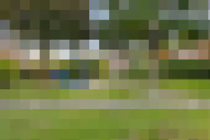 Canadastraat 39 Holten thumbnail 39