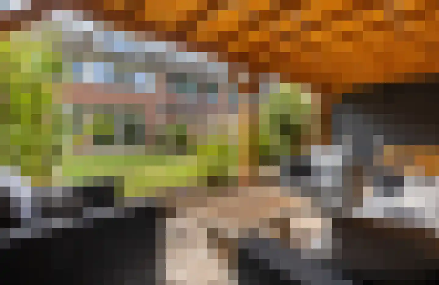Canadastraat 93 Holten thumbnail 23
