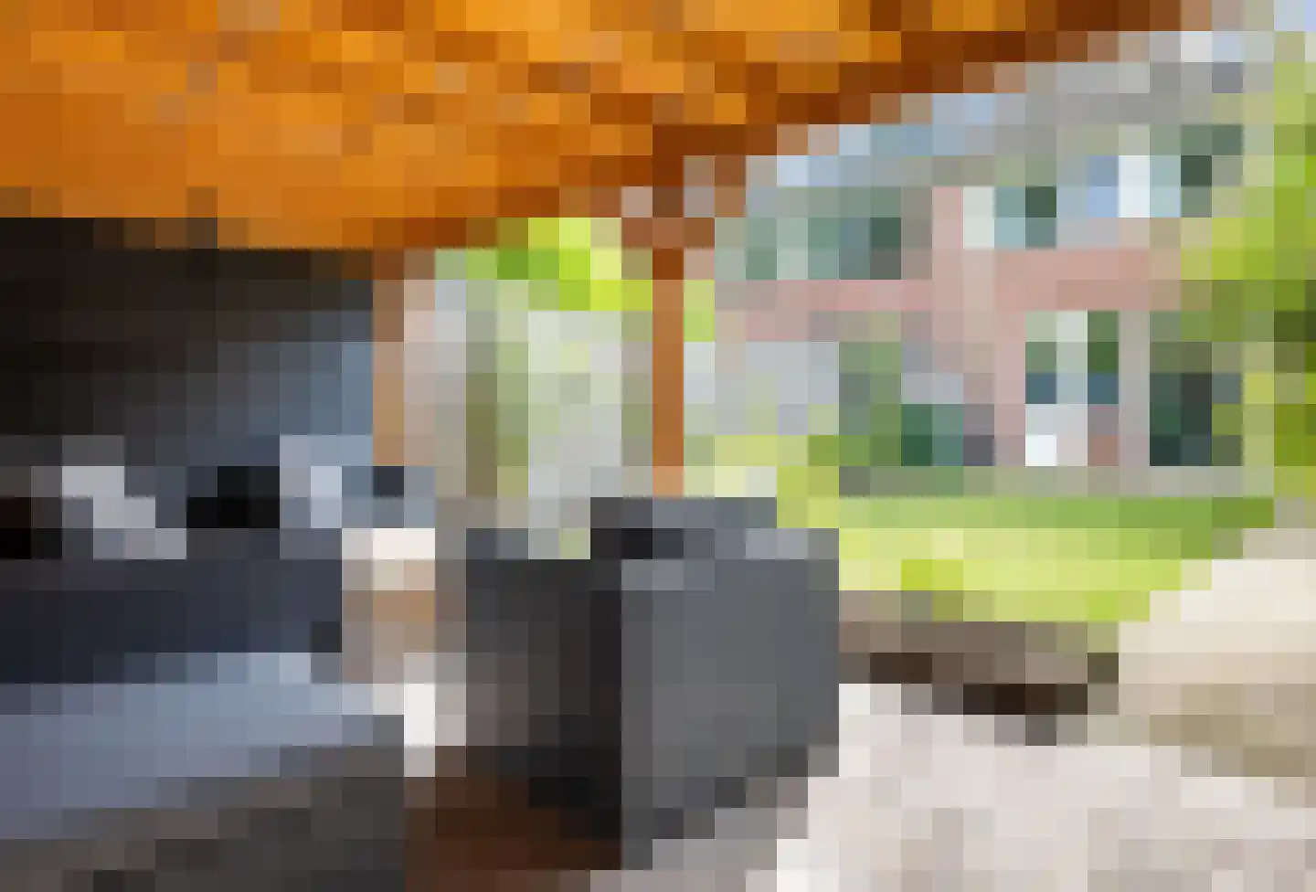 Canadastraat 93 Holten thumbnail 32