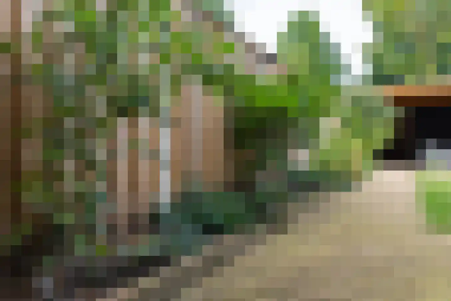 Canadastraat 93 Holten thumbnail 36