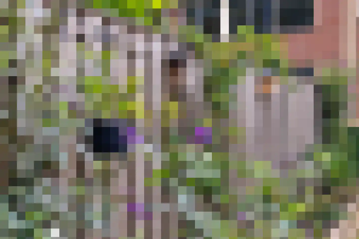 Canadastraat 93 Holten thumbnail 37